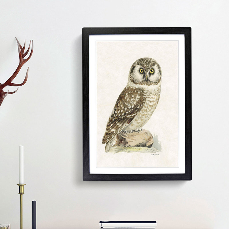 Boreal Owl by Von Wright - Picture Frame Painting Print, 48cm H x 36cm W x 2cm D, Black Framed