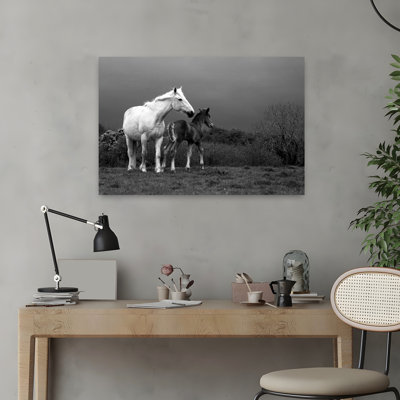 Jument et poulain Co Derry, Irlande, cheval contemporain, art animalier