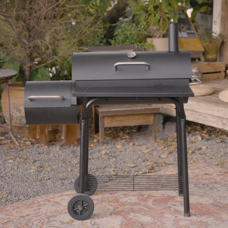 LaraVist 39.76cm W Charcoal Grill