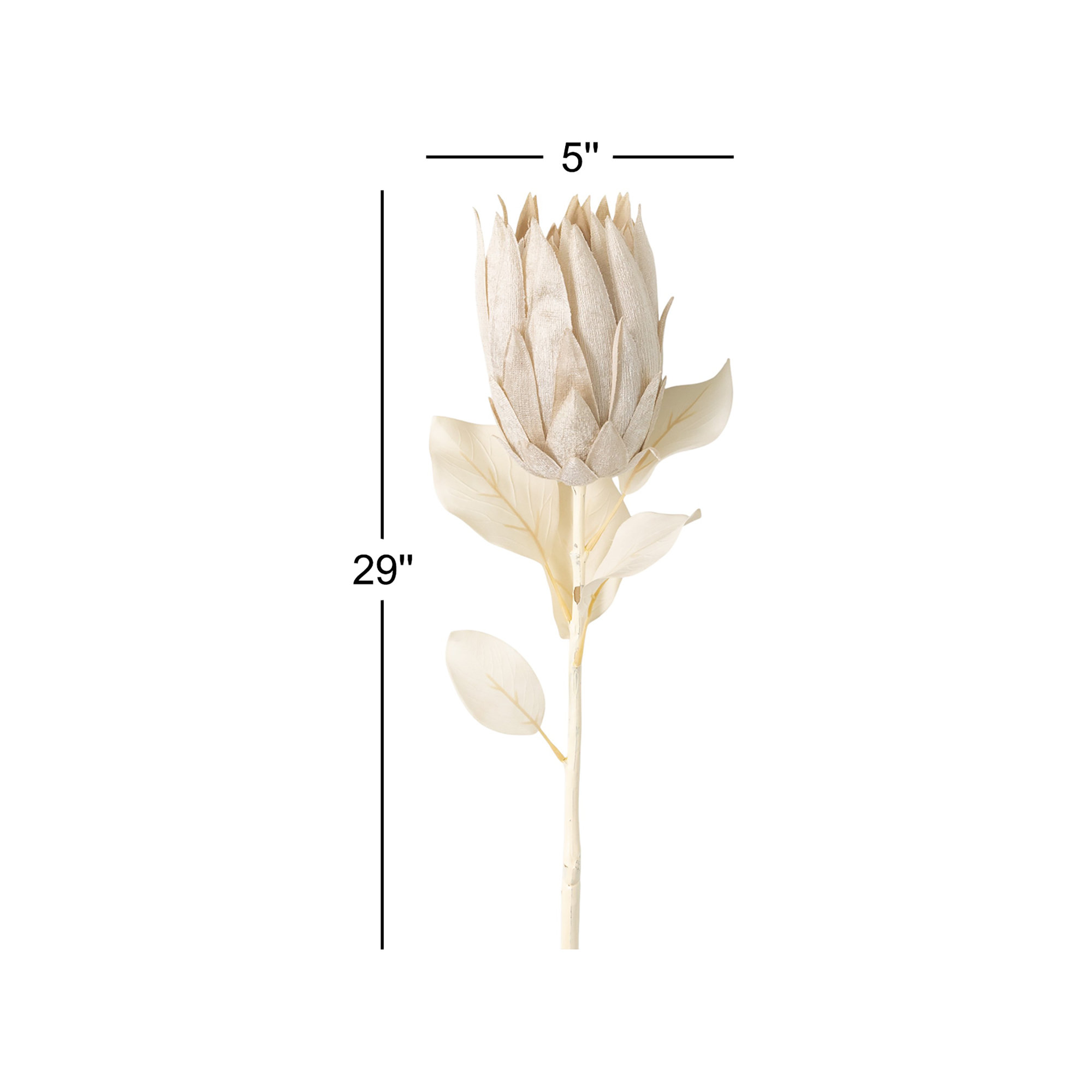Rich Sienna Protea Sprays, Cream, 29" H x 5" W x 4" D