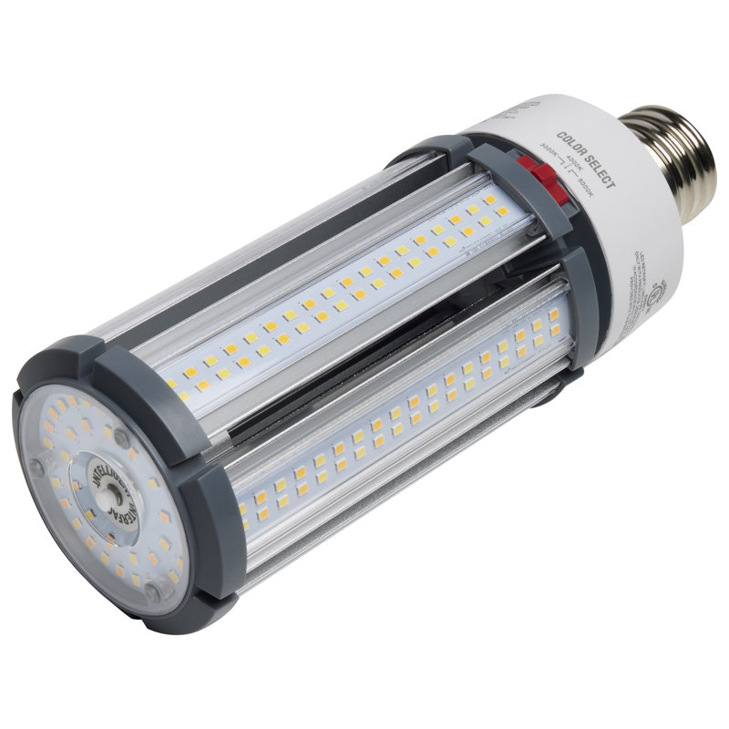 45 Watt White LED Bulb