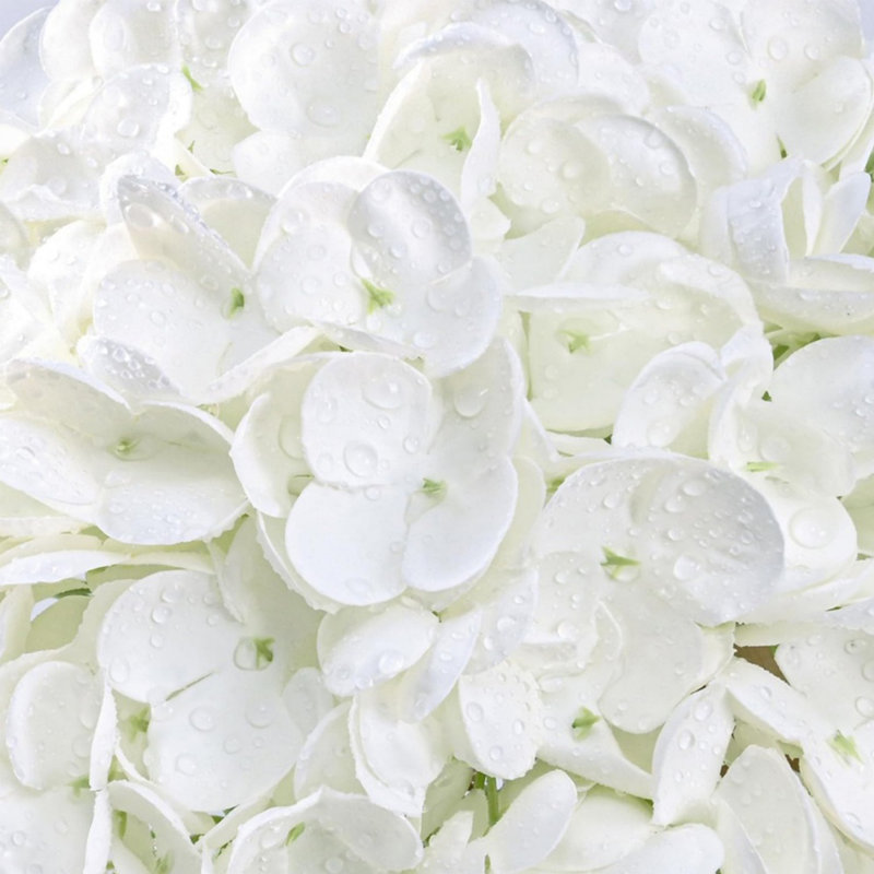 Paquet de 4 fleurs d'hortensia artificielles Real Touch, tiges d'hydrangées en caoutchouc souple réalistes de 17,7 po pour le mariage, la maison et le vase