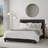 Takengon Upholstered Standard Bed-93670434-93670438