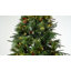 Christmas Tree-1962662675