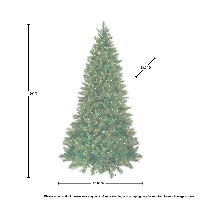 Arbre à DEL mince en Belgique, 10'