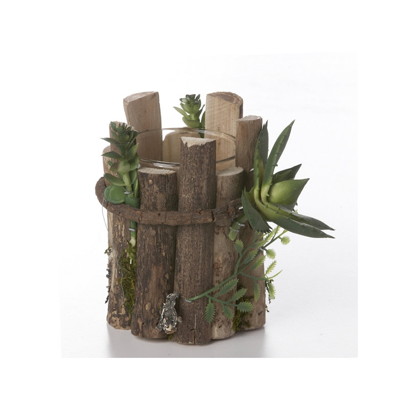 Porte-votive en bois succulent