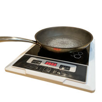 Wobythan Electric Stove, Single Burner Cooktop, Compact and Portable,  Adjustable Temperature Hot Plate, 1000 Watts