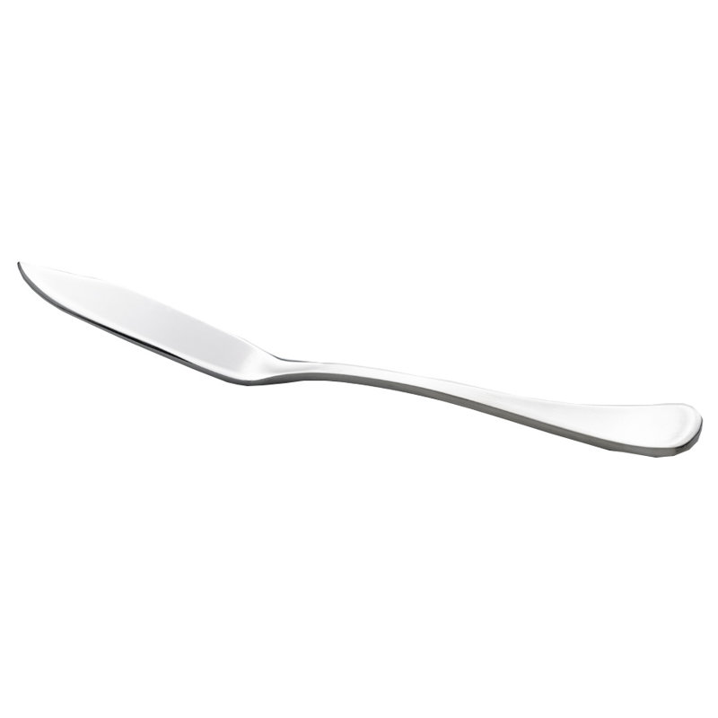 Stainless Steel Dinner Knife
