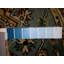 Katelina Oriental Area Rug in Blue