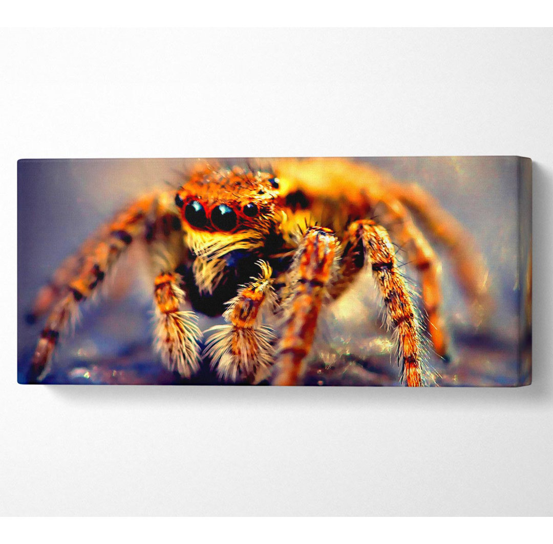 Spinne in Nahaufnahme - Panorama-Kunstdrucke auf Canvas-Leinwand