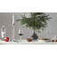 Carat Hurricane Candle Holder