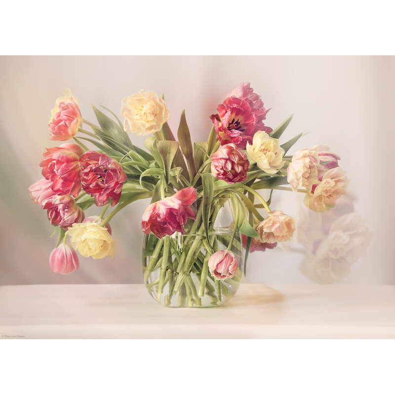 Wrapped Canvas Print, 50.8 cm H x 76.2 cm W