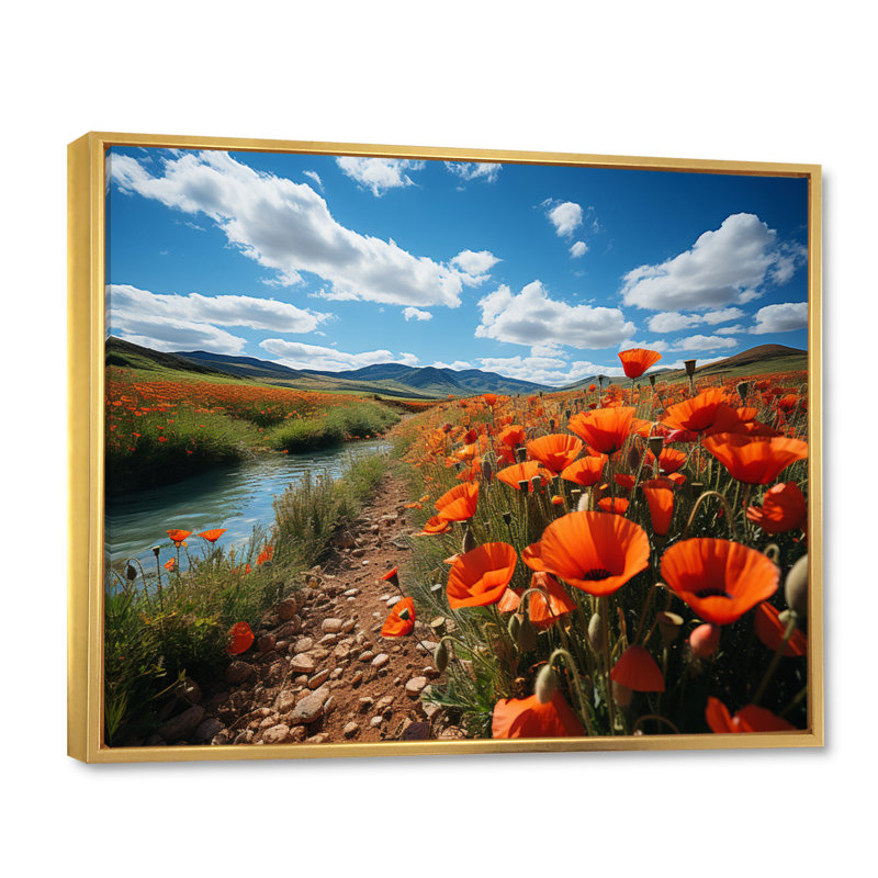 Kolette, Espagne, champs de coquelicots sur toile, H 24 po x l 32 po x P 1 po, Cadre flottant doré