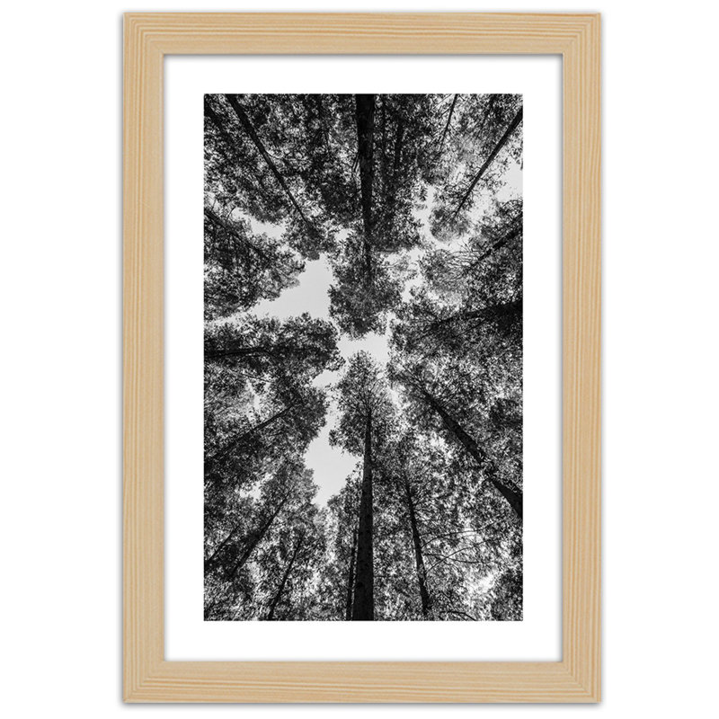 Picture In A Frame, Crowns Of Trees - Single Picture Frame Print, 100cm H x 70cm W, Light Brown