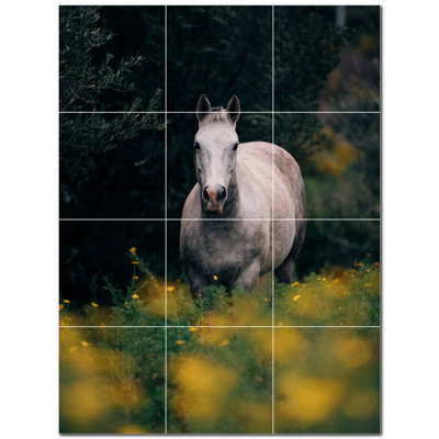 Photo de cheval 4,25 x 4,25