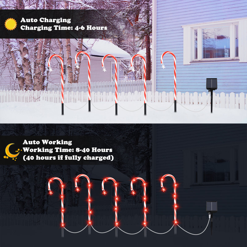 Solar LED Net Lights