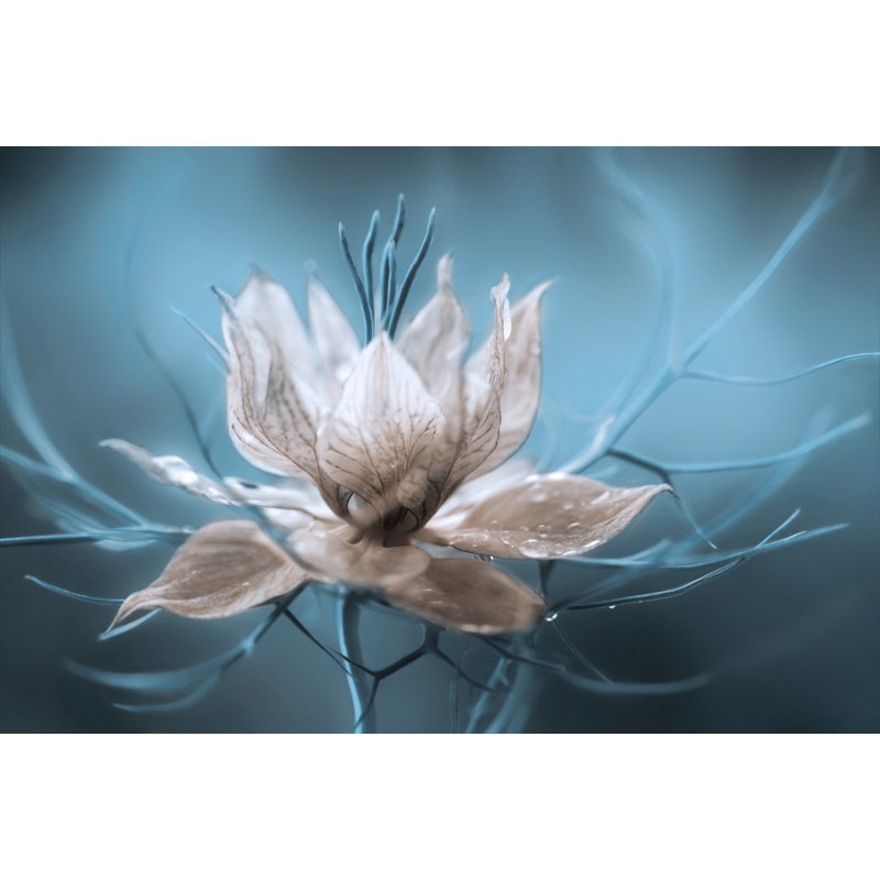 Wrapped Canvas Print, 76.2 cm H x 50.8 cm W