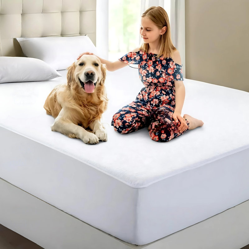 Fitted Mattress Protector Case Pack, Double (4'6)