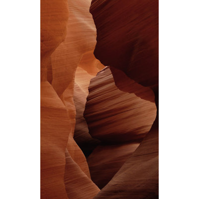 Art of Nature 007 - No Frame Rectangle Print on Metal
