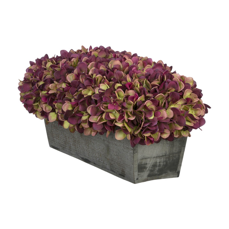 Arrangement d'hortensias en prune, Prune / sauge, Noir