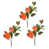 Orange sélectionné