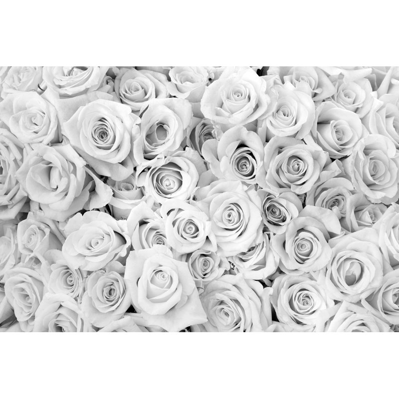 Murale l 8 pi x l 144 po roses Ladson