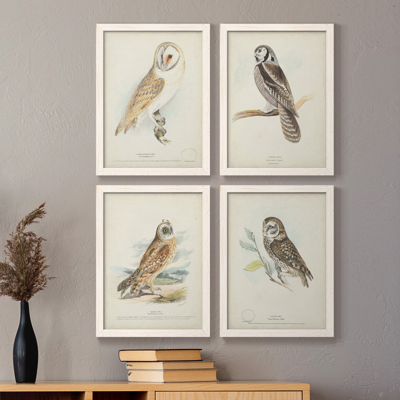 Toile encadrée de qualité supérieure Barn Owl - prête à être accrochée, H 31,5 po x l 47 po x P 1,5 po, Blanc