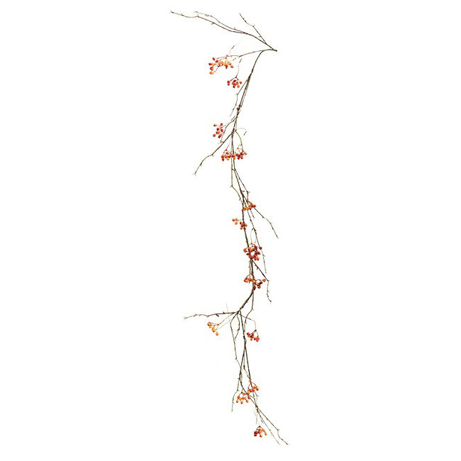 Plante suspendue en vigne à baies artificielles rustique
