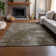 Cerrito Area Rug with Non-Slip Backing