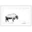 « pâturage bison », reproduction de photo sur papier encadrée-19579095