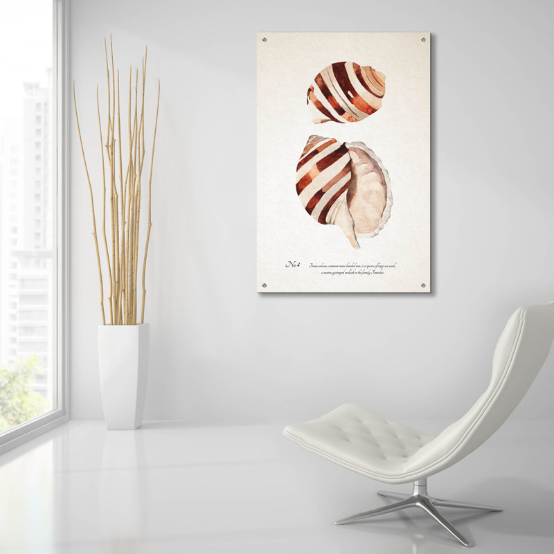 Art mural en verre acrylique 24 po x 36 po «Sienna Shell Collector 4» par Annie Warren, H 36 po x l 24 po