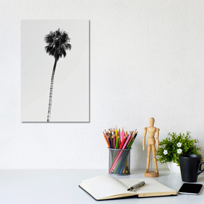 Hollywood Palm Tree by Philippe Hugonnard - Wrapped Canvas Print