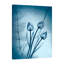 « cerulean aube », reproduction d’impression sur toile tendue-23605014