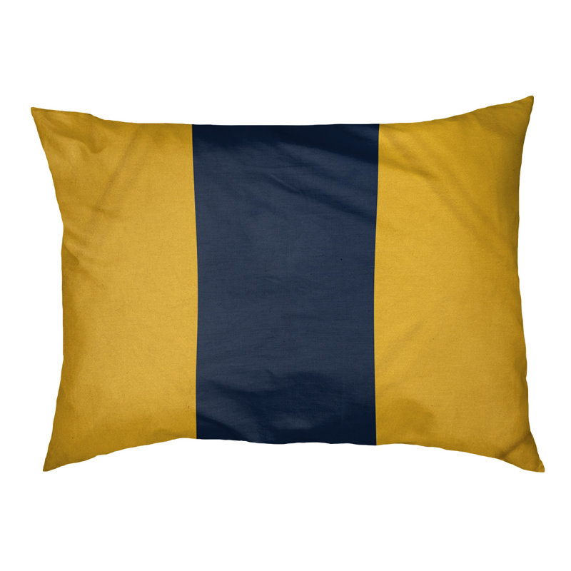 Coussin pour chien Indiana, Moyen (l 28 po x P 18 po x H 9,5 po), Jaune/bleu
