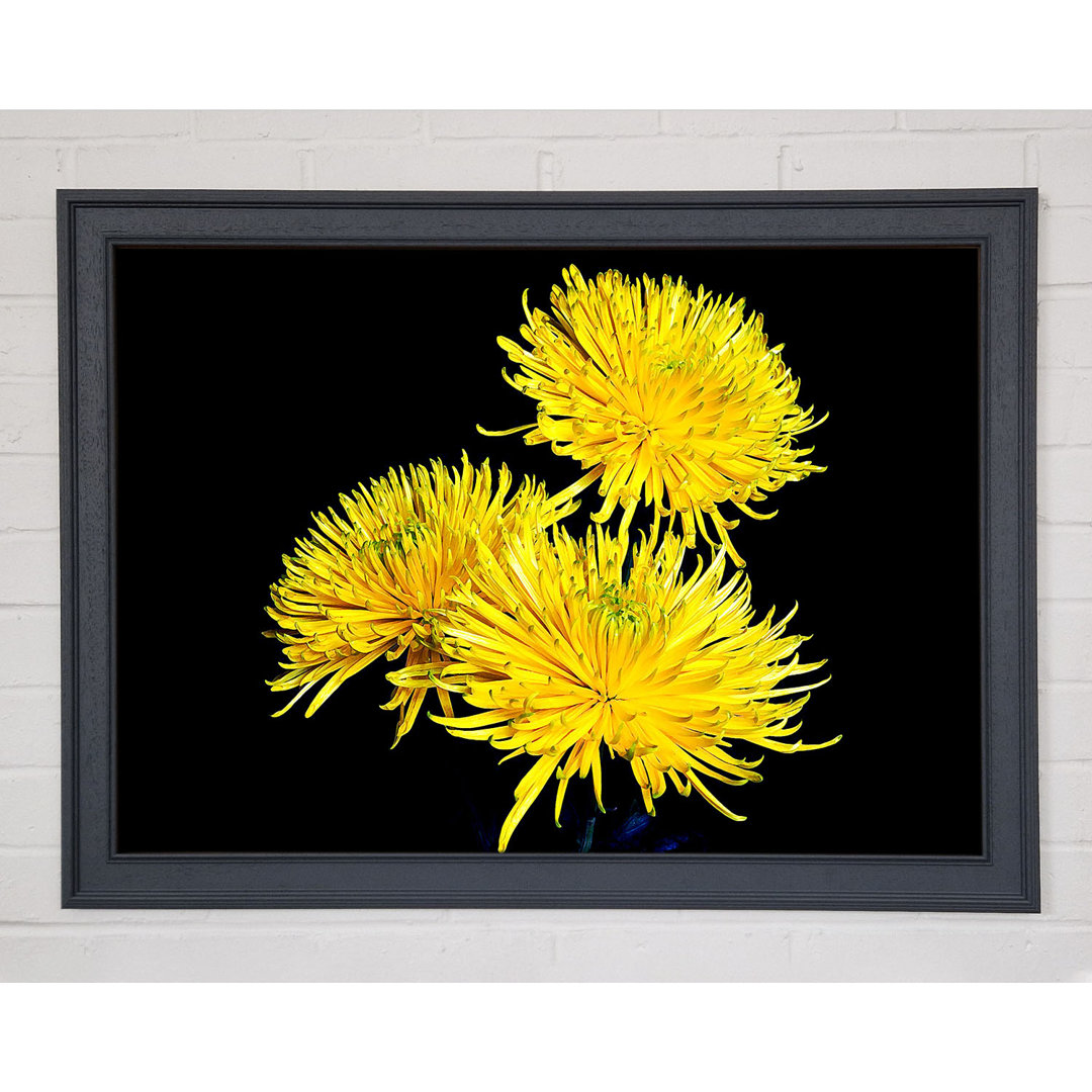 Dandelion Delight - Druck