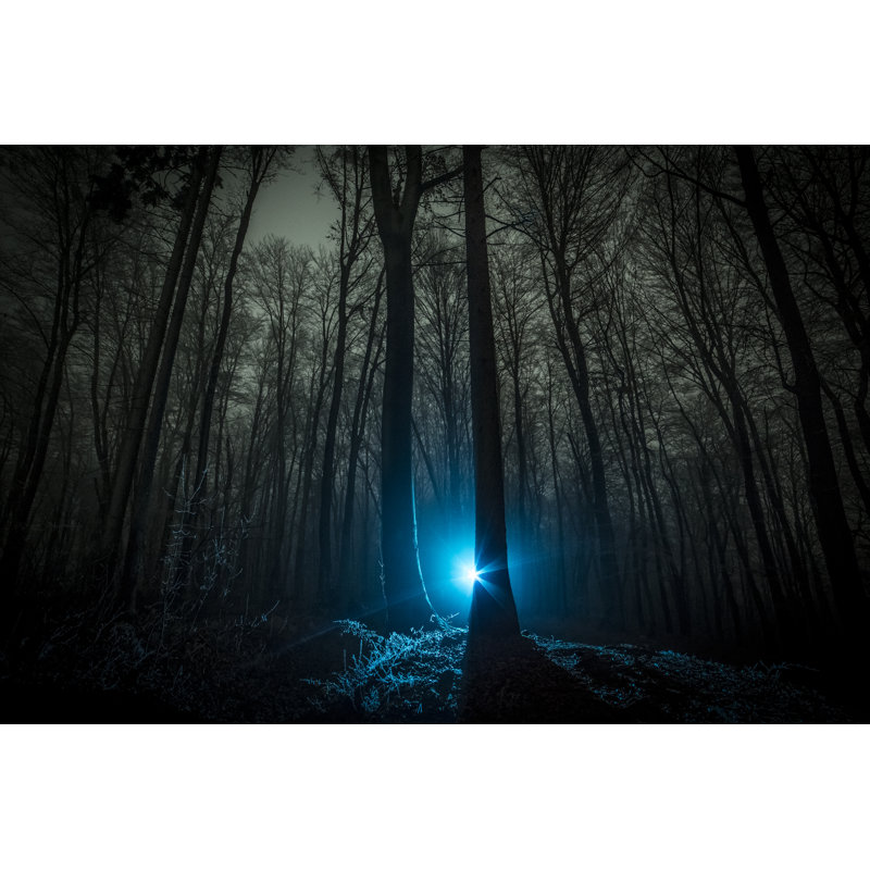 Dark Scary Night Forest by Gremlin - No Frame Art Prints on Canvas, 30cm H x 46cm W