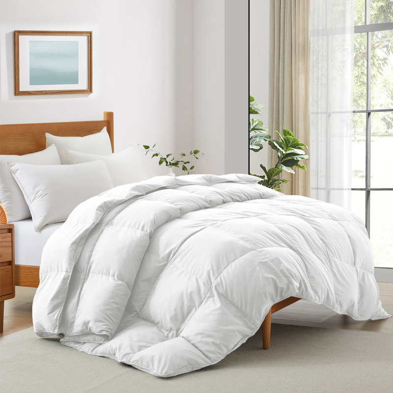  Soft All-Season Down Feather Fiber Comforter - Cozy, Fluffy Duvet Insert with Corner Tabs for Secure Fit, White