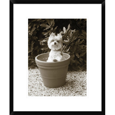 " In the Garden " Print
