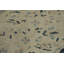 Tapis de salon 8x9