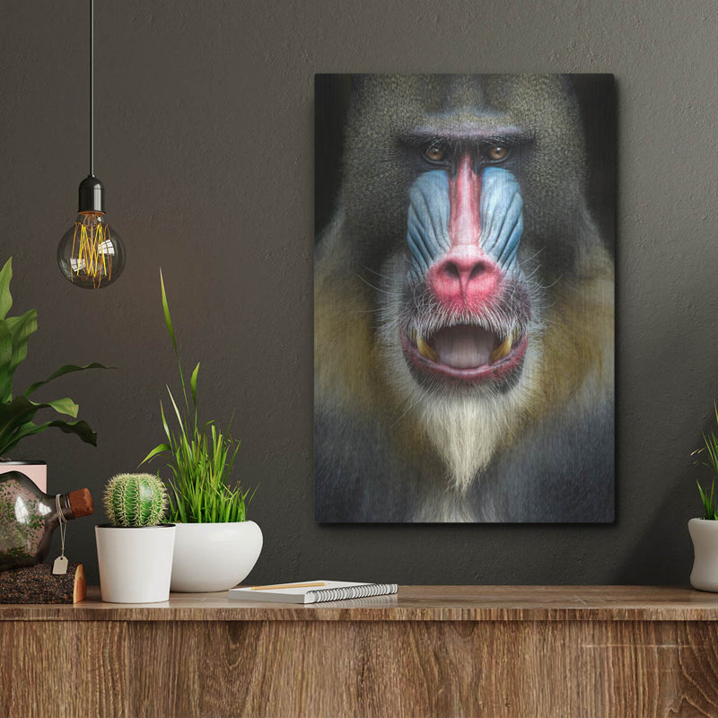 Mandrill 2 pi par SD Smart, art mural en métal, H 16 po x l 12 po