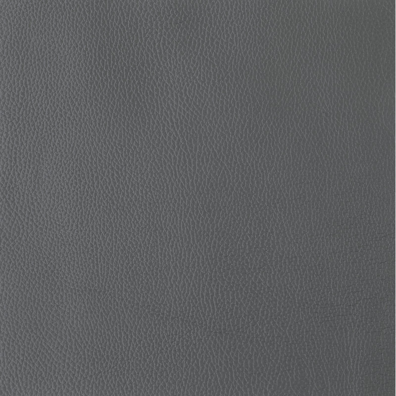 Ehrika Top Grain Italian Leather Sofa, Dark Gray Genuine Leather, Silver