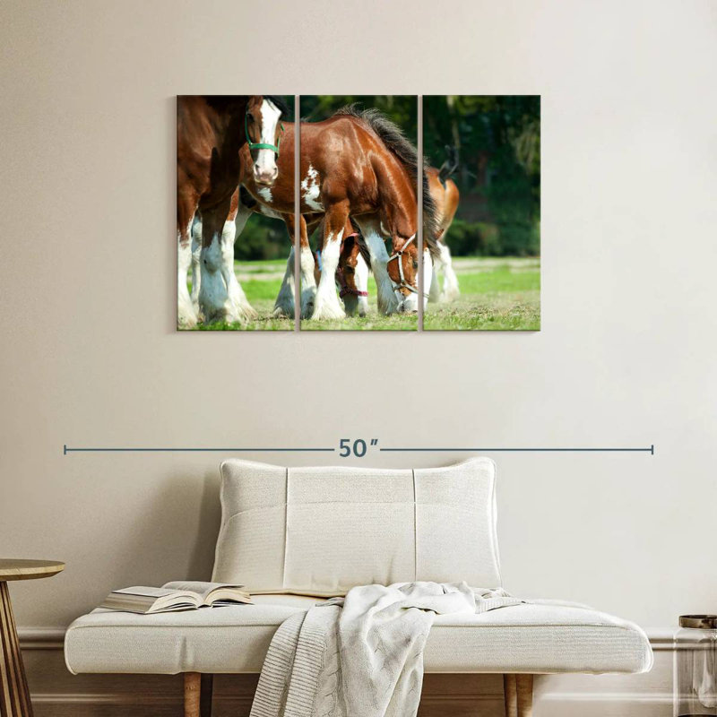 Chevaux Clydesdale, H 24 po x l 38 po