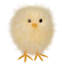 Figurines de Pâques Furry Chicks - 3,25 po - ensemble de 3-112569370
