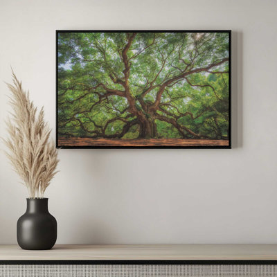 Angel Oak Tree in Charleston by Martin Podt Art Print
