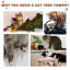 Northborough Cat Perch-789827384