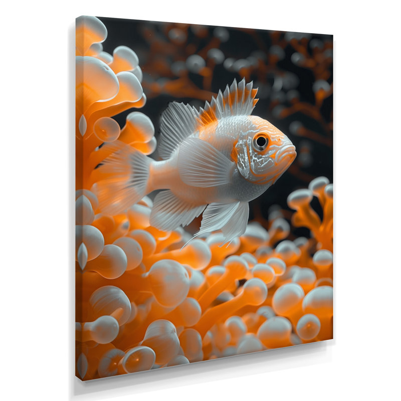 Orange blanc, corail, poisson, corail, H 12 po x l 20 po, Toile tendue