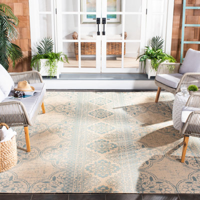 Kipp Paisley Hand Woven Indoor / Outdoor Area Rug