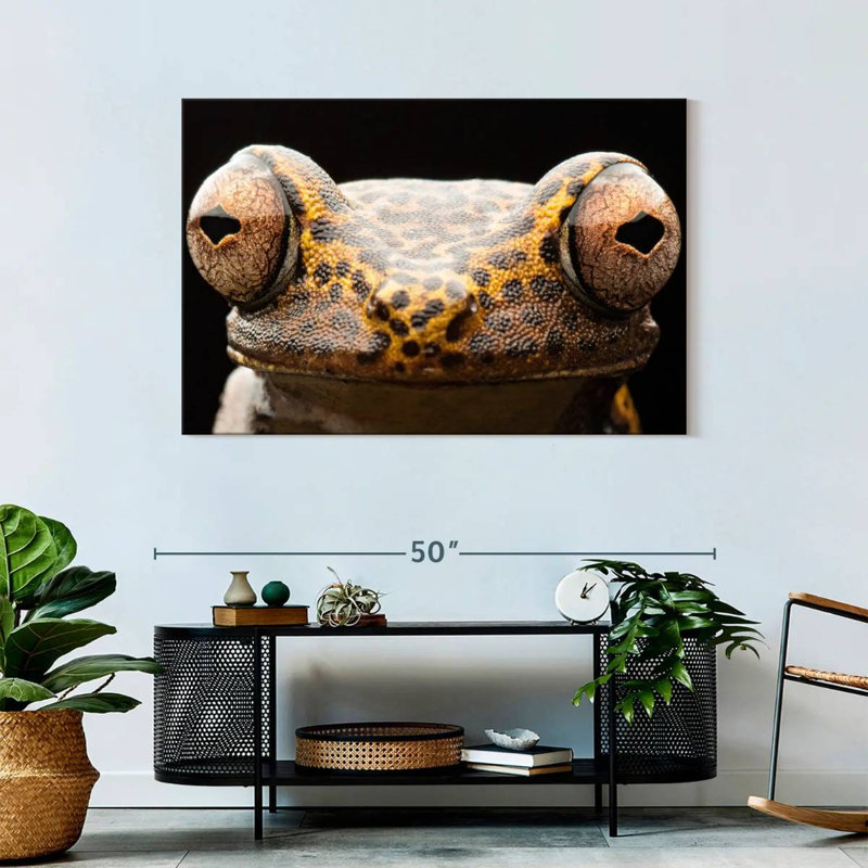 Brampt Tree Frog Eyes, 30" H x 45" W