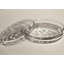 Oliver Crystal Nut Bowl