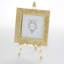 Windsor Metal Picture Frame-49673023
